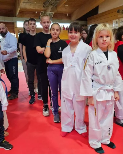 Taekwondo pokal Ivančna Gorica