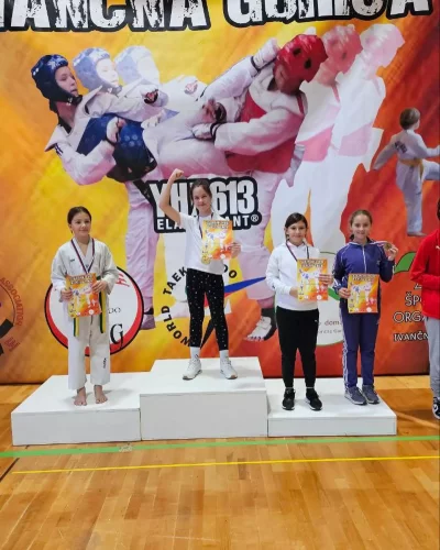 Taekwondo pokal Ivančna Gorica