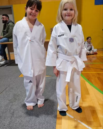 Taekwondo pokal Ivančna Gorica