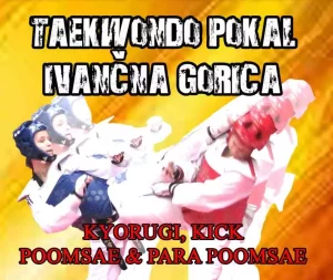 Taekwondo pokal Ivančna Gorica