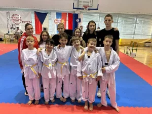 Taekwondo prvenstvo Štajerske